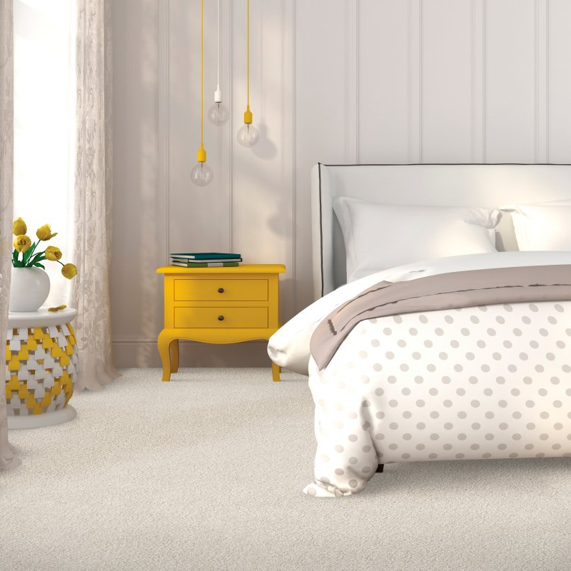 Capitaland Flooring providing stain-resistant pet proof carpet in Clifton Park, NY